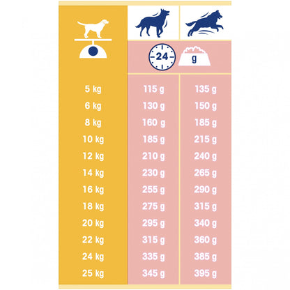 PURINA DOG CHOW Complet Adult au Saumon - Croquette pour chien