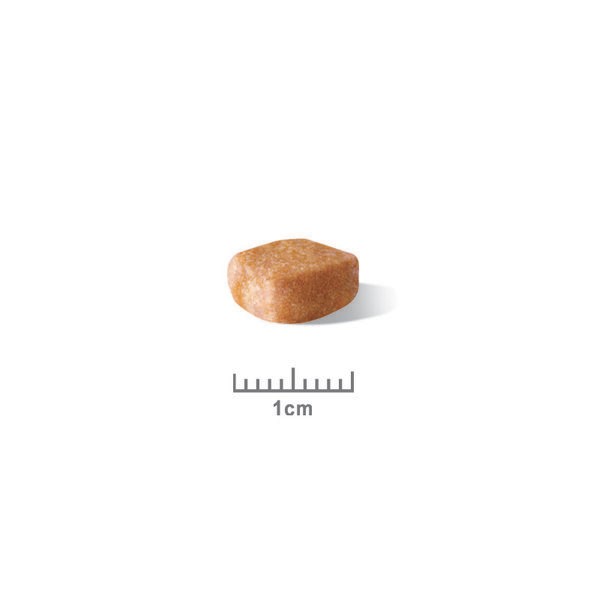 Royal Canin Yorkshire Terrier Puppy - Croquettes pour chiot