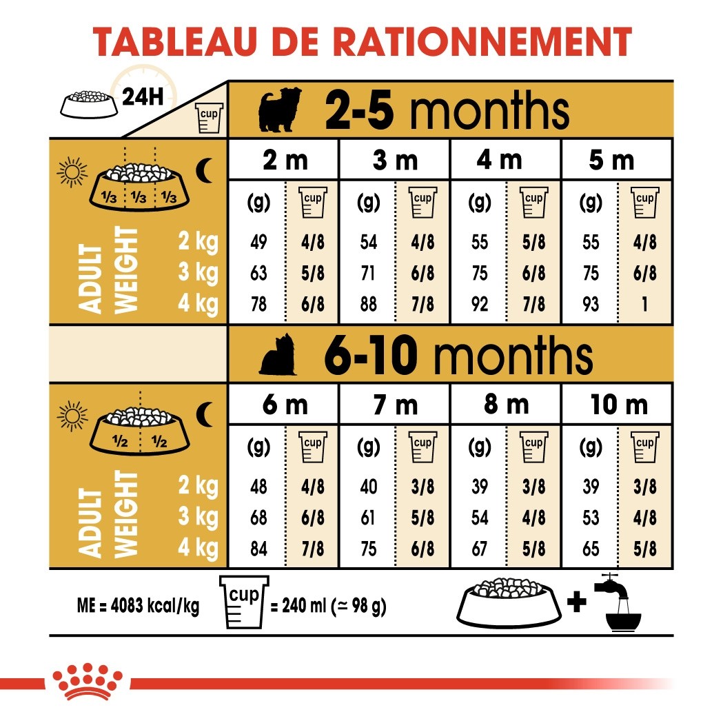 Royal Canin Yorkshire Terrier Puppy - Croquettes pour chiot