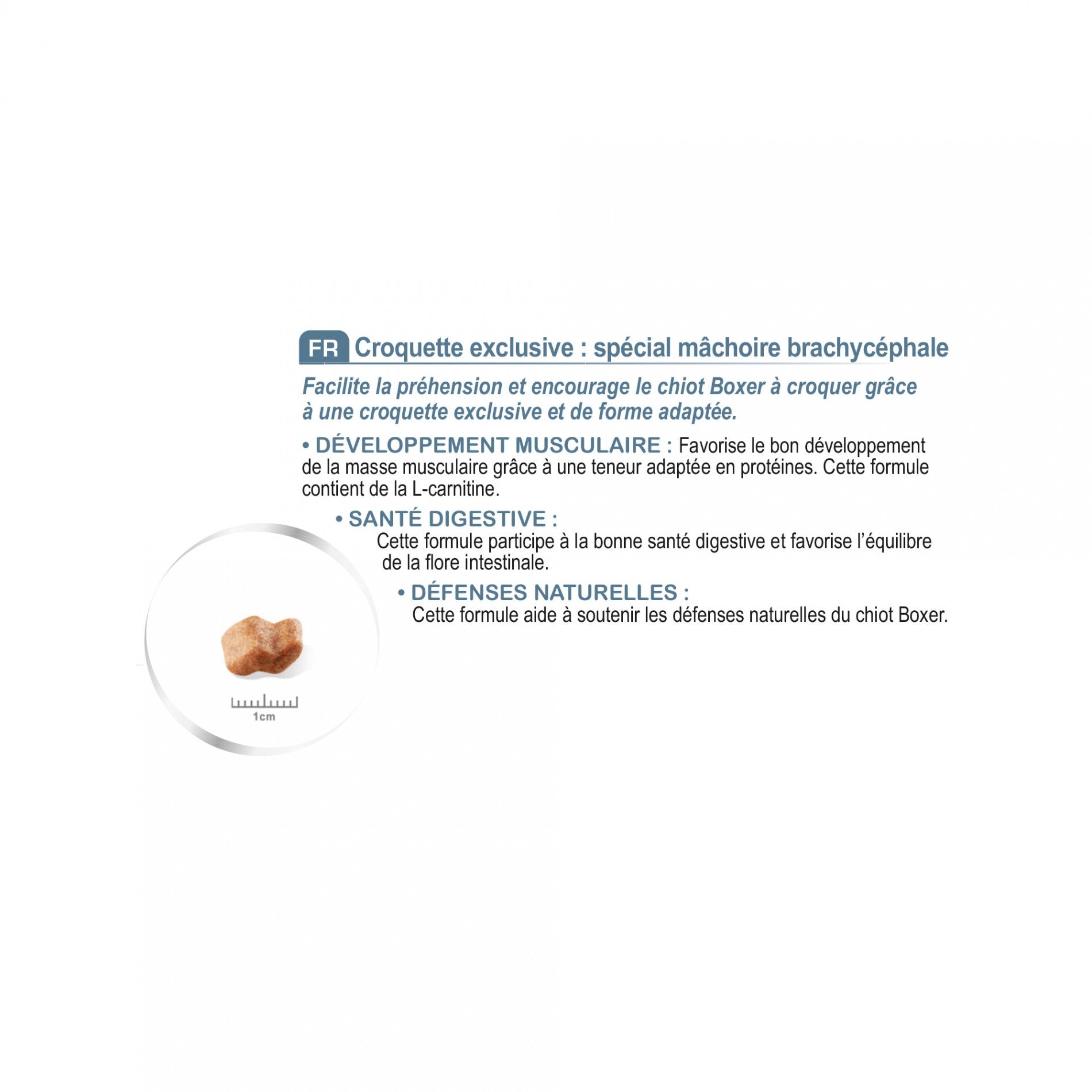 Royal Canin Boxer Puppy - Croquettes pour chiot