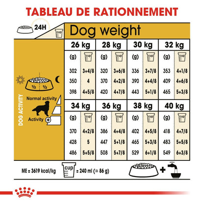 Royal Canin Golden Retriever Adult - Croquettes pour chien