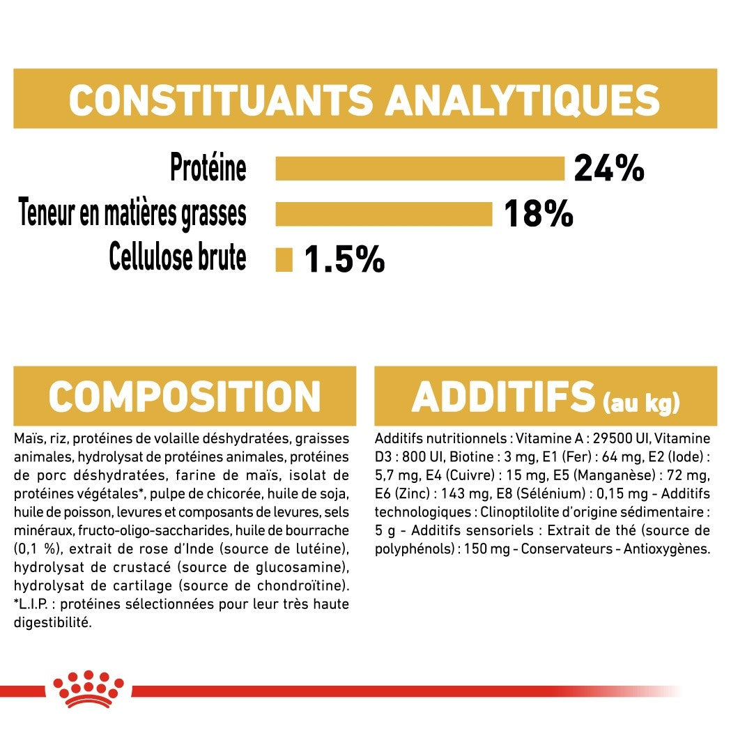 Royal Canin Bichon Maltais Adult