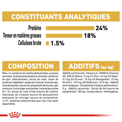 Royal Canin Bichon Maltais Adult