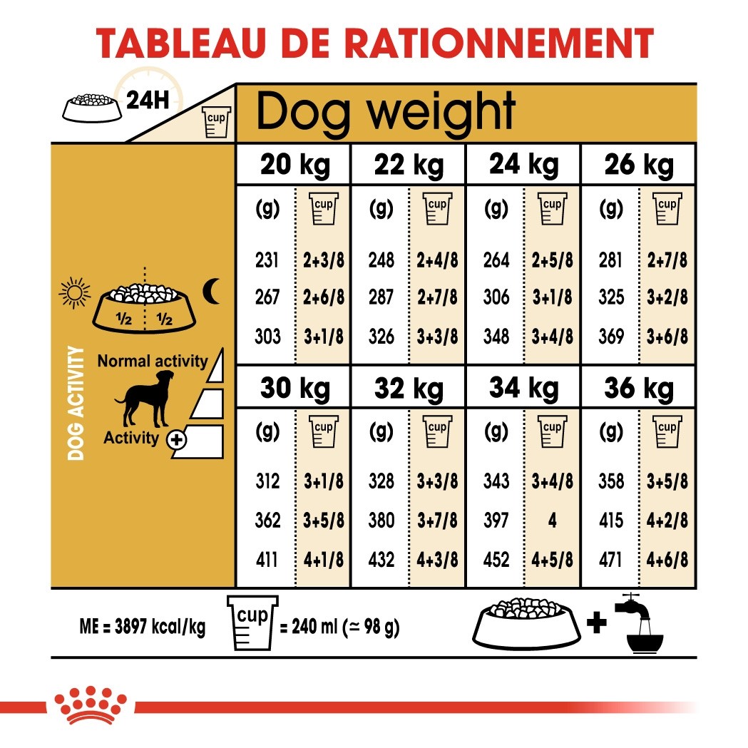 Royal Canin Dalmatien Adult