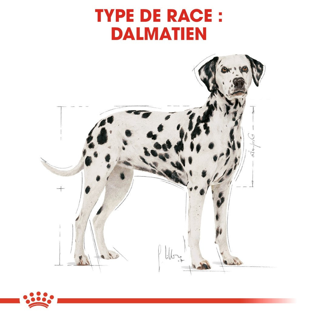 Royal Canin Dalmatien Adult