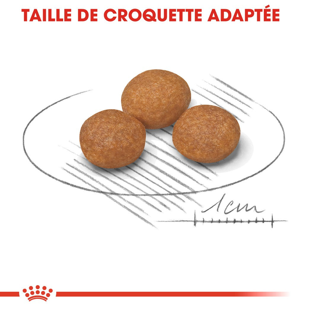 Royal Canin X-Small Adult 8+