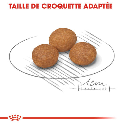 Royal Canin X-Small Adult 8+