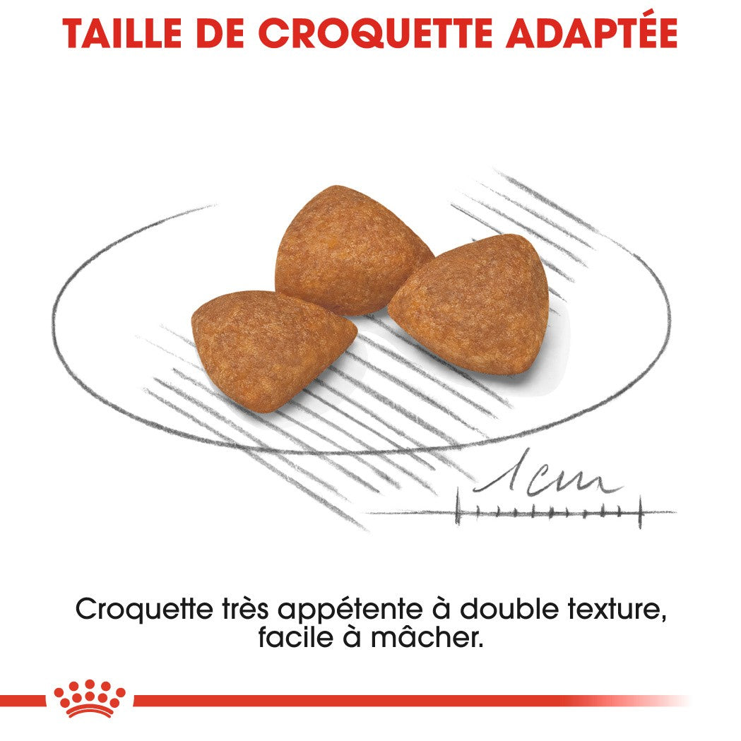 Royal Canin X-Small Ageing 12