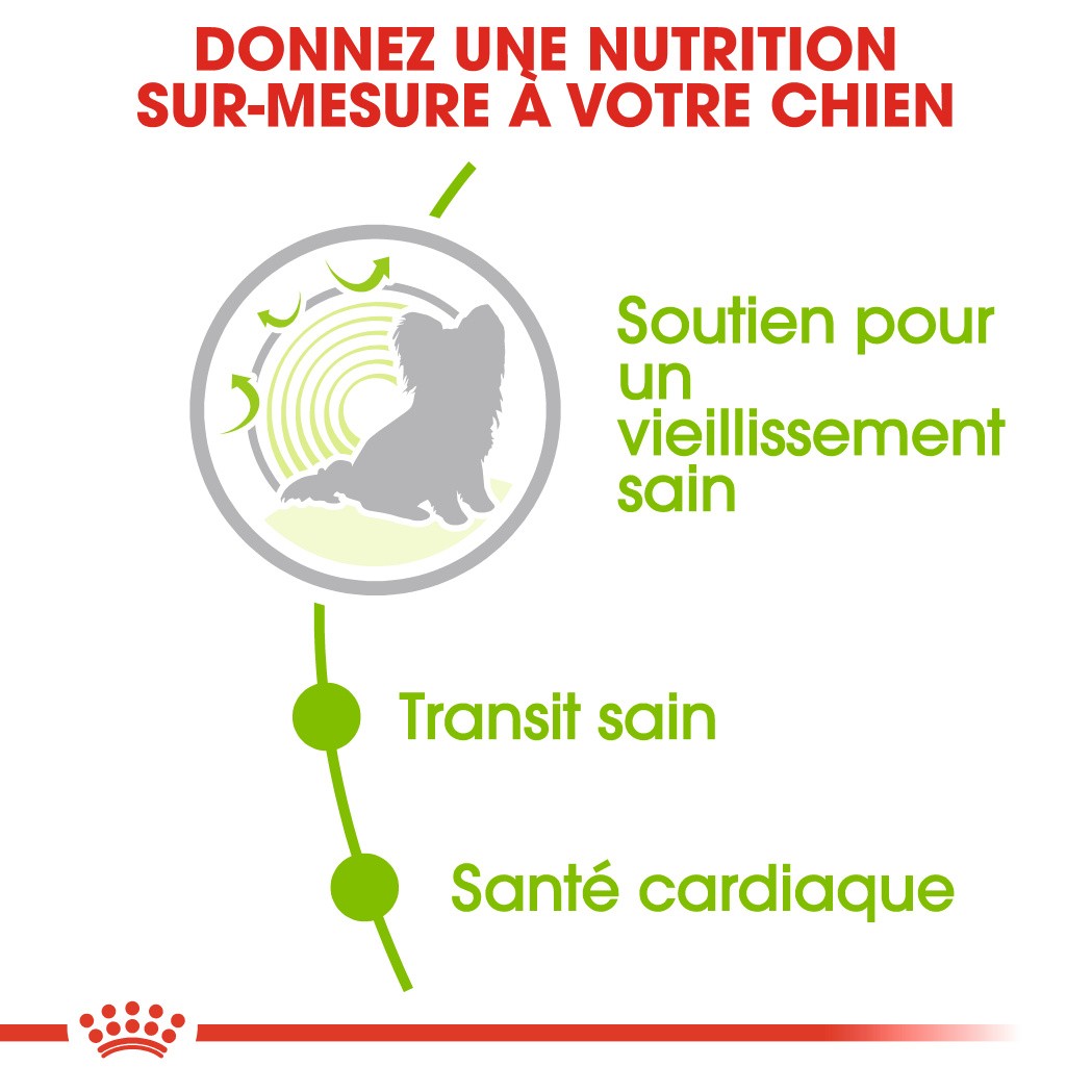 Royal Canin X-Small Ageing 12