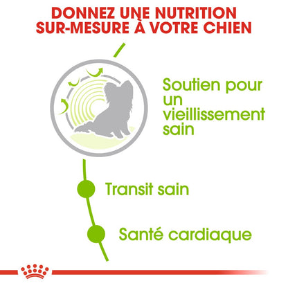 Royal Canin X-Small Ageing 12