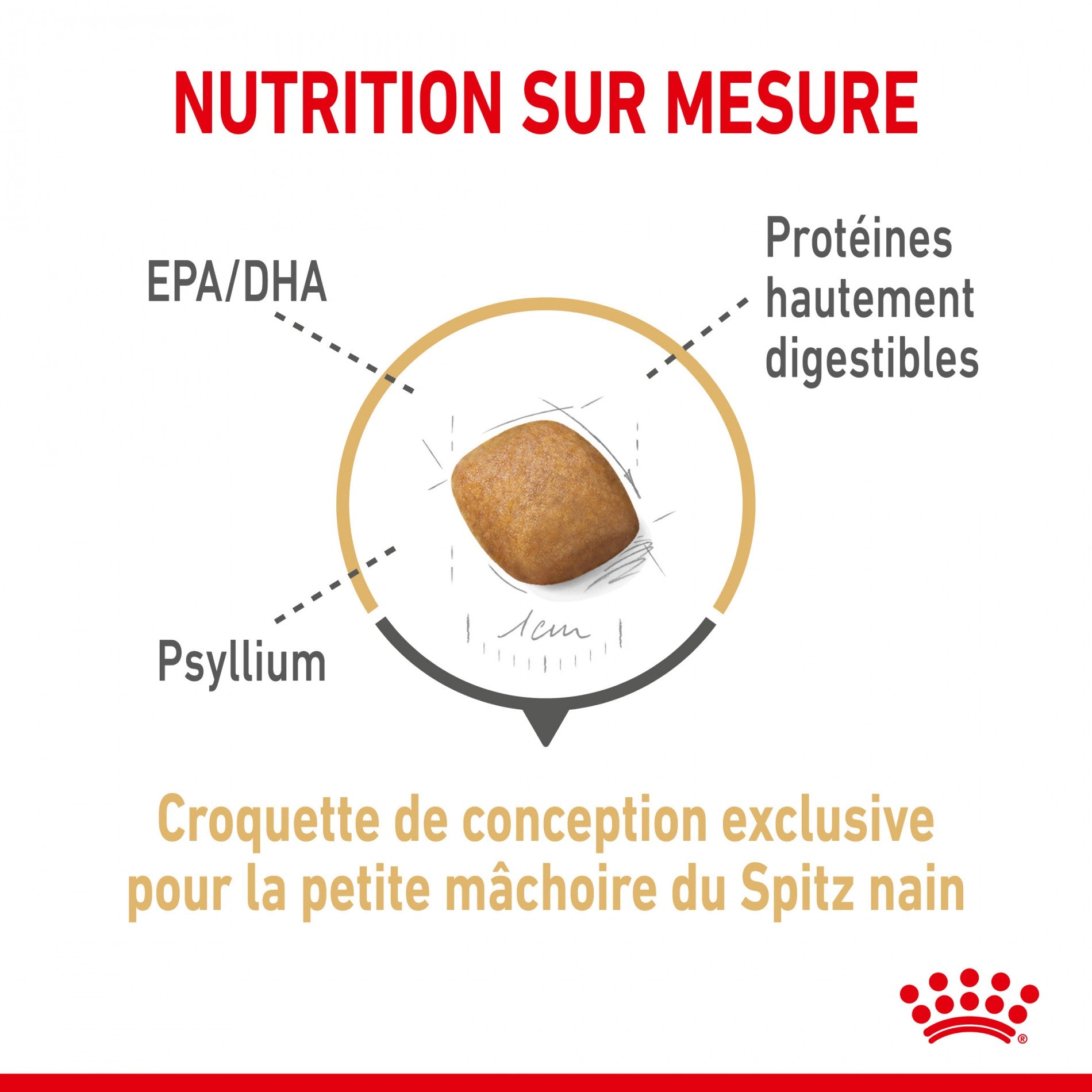 Royal Canin Pomeranian (Spitz Nain) Adult - Croquettes pour chien