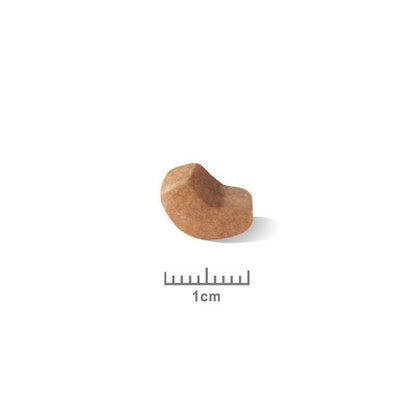 Royal Canin Shih Tzu Puppy - Croquettes pour chiot
