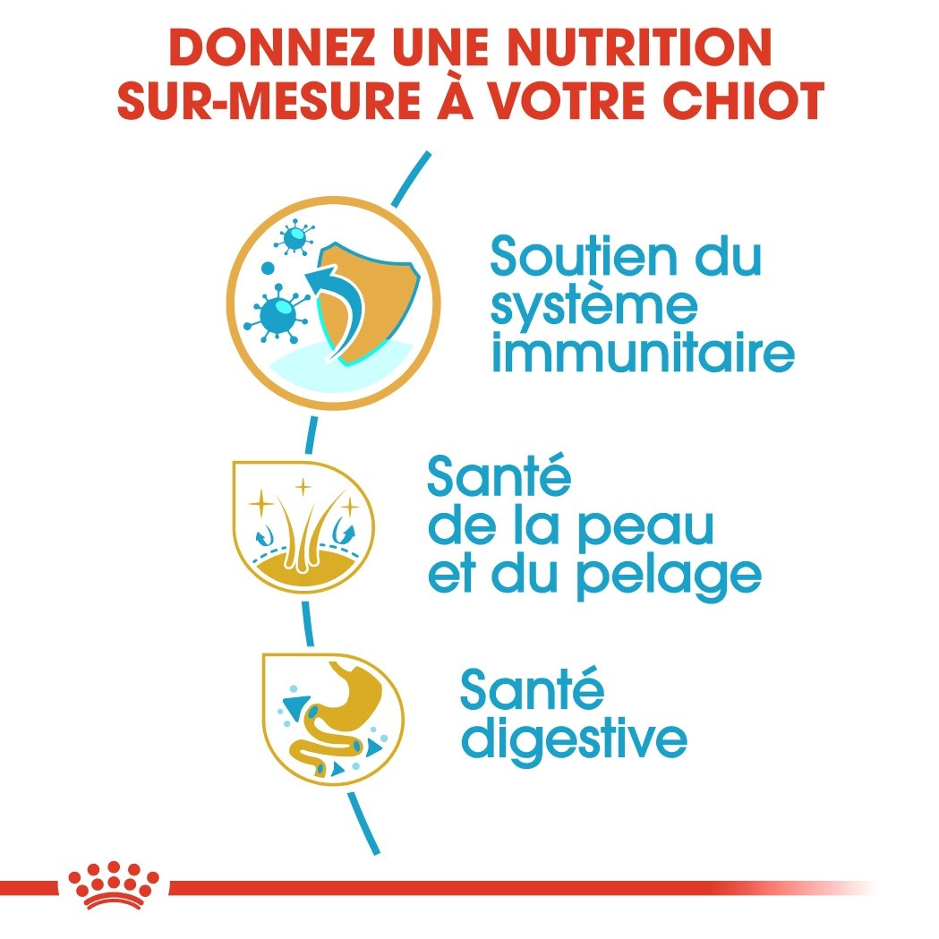 Royal Canin Shih Tzu Puppy - Croquettes pour chiot