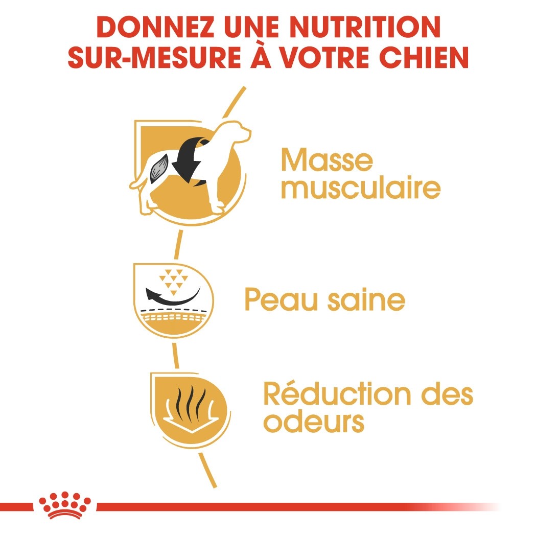 Royal Canin French Bulldog Adult - Croquettes pour chien