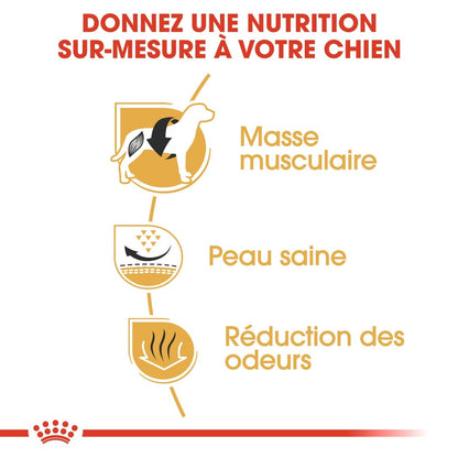 Royal Canin French Bulldog Adult - Croquettes pour chien