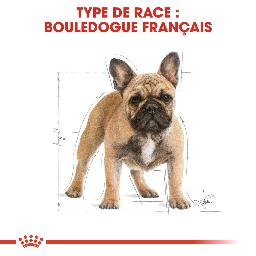 Royal Canin French Bulldog Adult - Croquettes pour chien