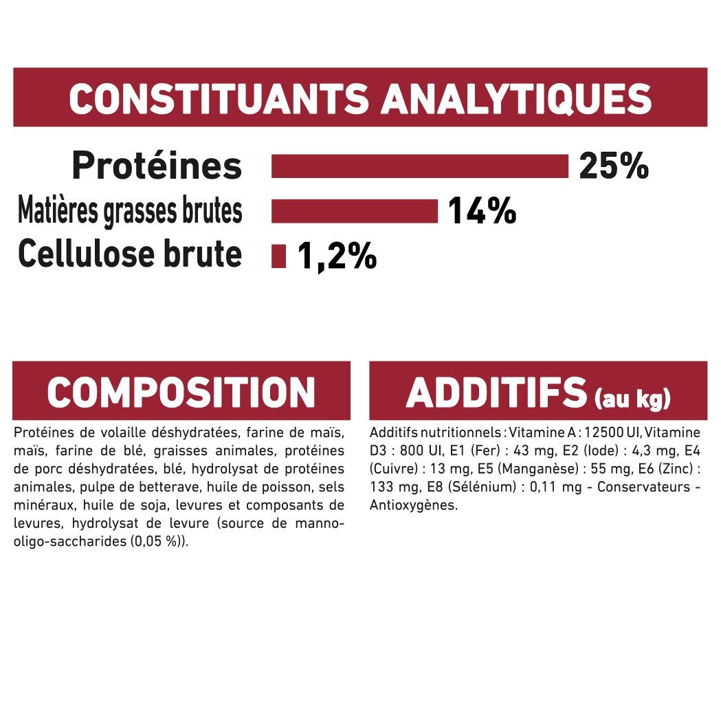Royal Canin Medium Adult - Croquettes pour chien