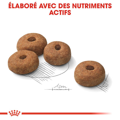 Royal Canin Maxi Sterilised - Croquettes pour chien