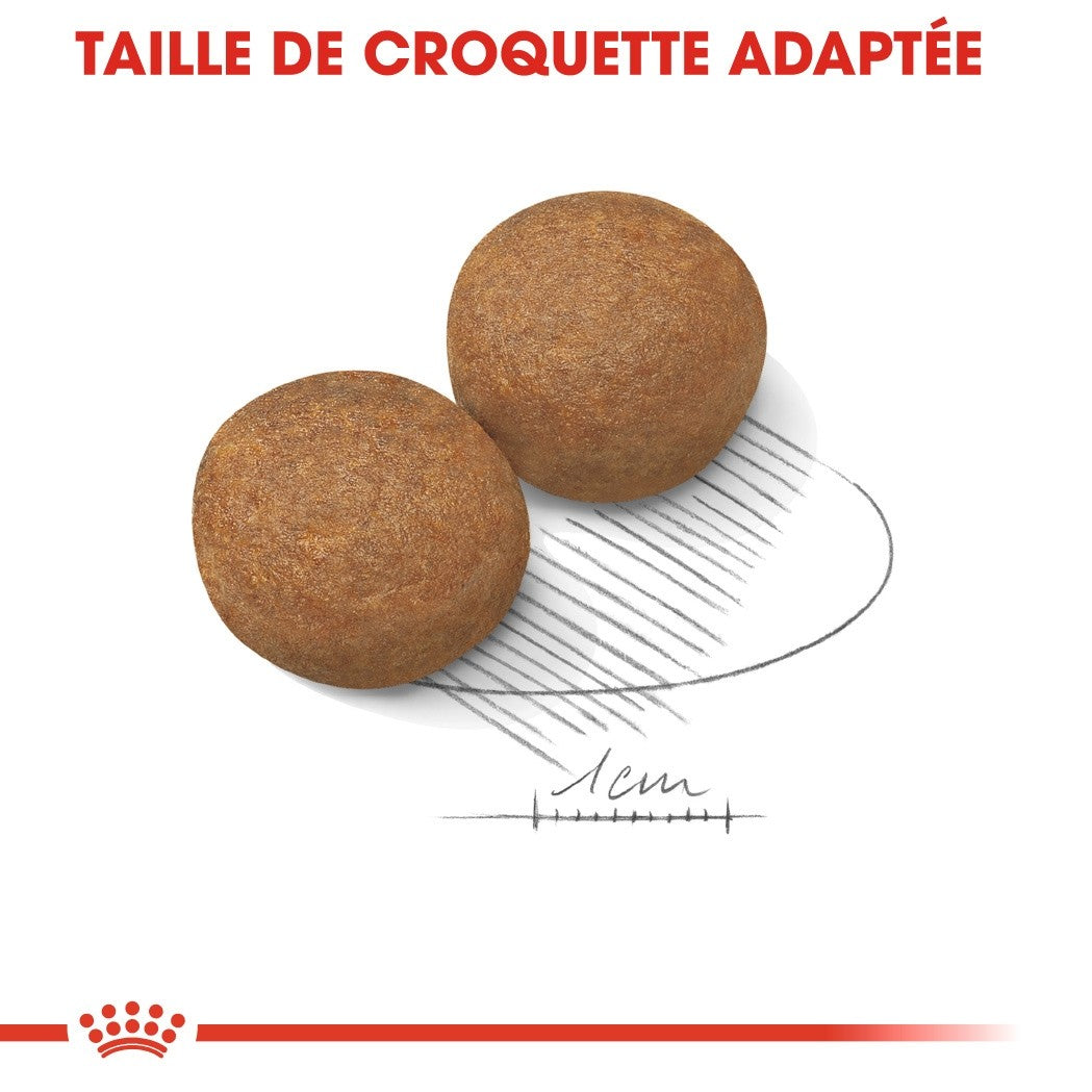 Royal Canin Maxi Adult - Croquettes pour chien