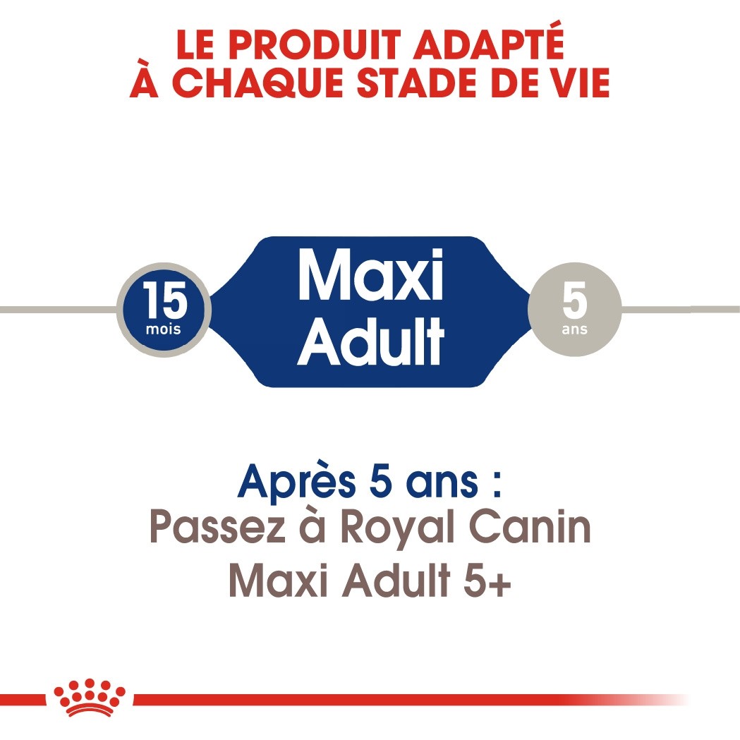 Royal Canin Maxi Adult - Croquettes pour chien