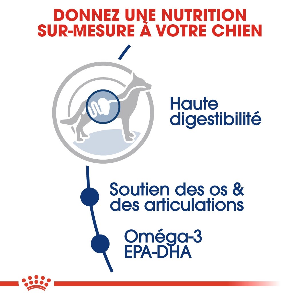 Royal Canin Maxi Adult - Croquettes pour chien