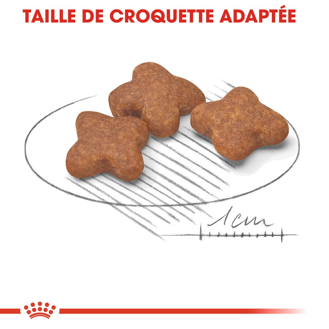 Royal Canin Mini Adult 8+ - Croquettes pour chien