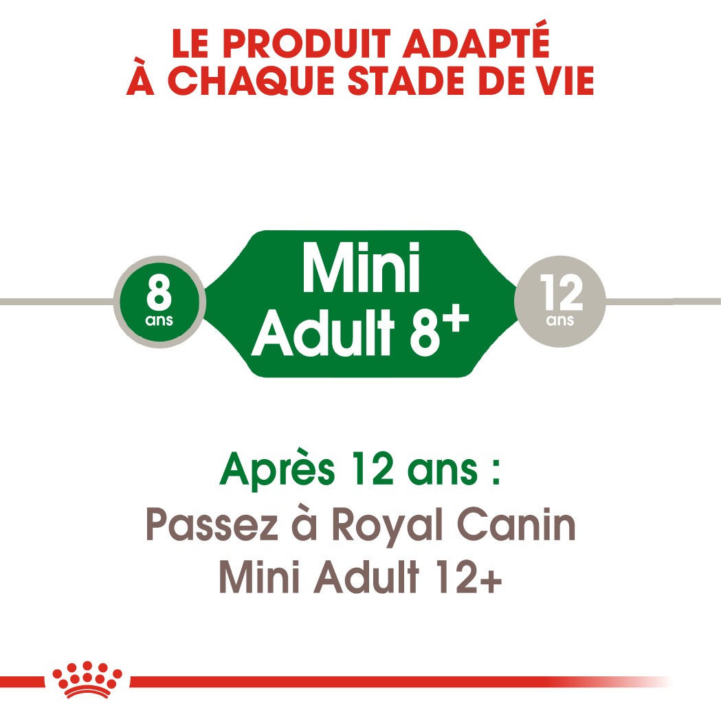 Royal Canin Mini Adult 8+ - Croquettes pour chien