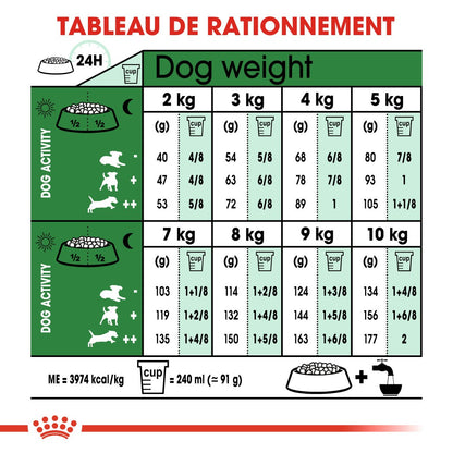 Royal Canin Mini Adult 8+ - Croquettes pour chien