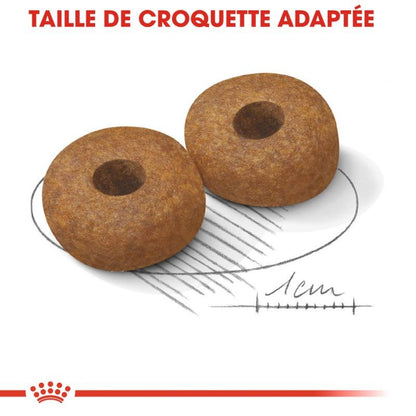Royal Canin Medium Ageing 10+