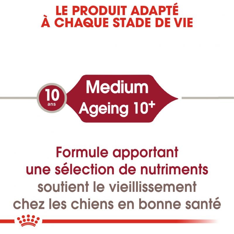 Royal Canin Medium Ageing 10+