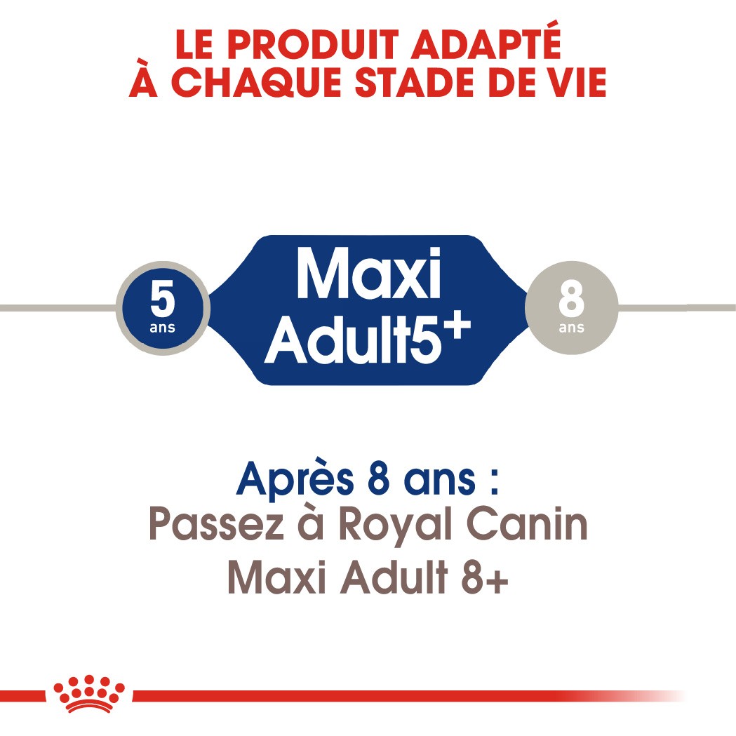Royal Canin Maxi Adult 5+ - Croquettes pour chien 15kg