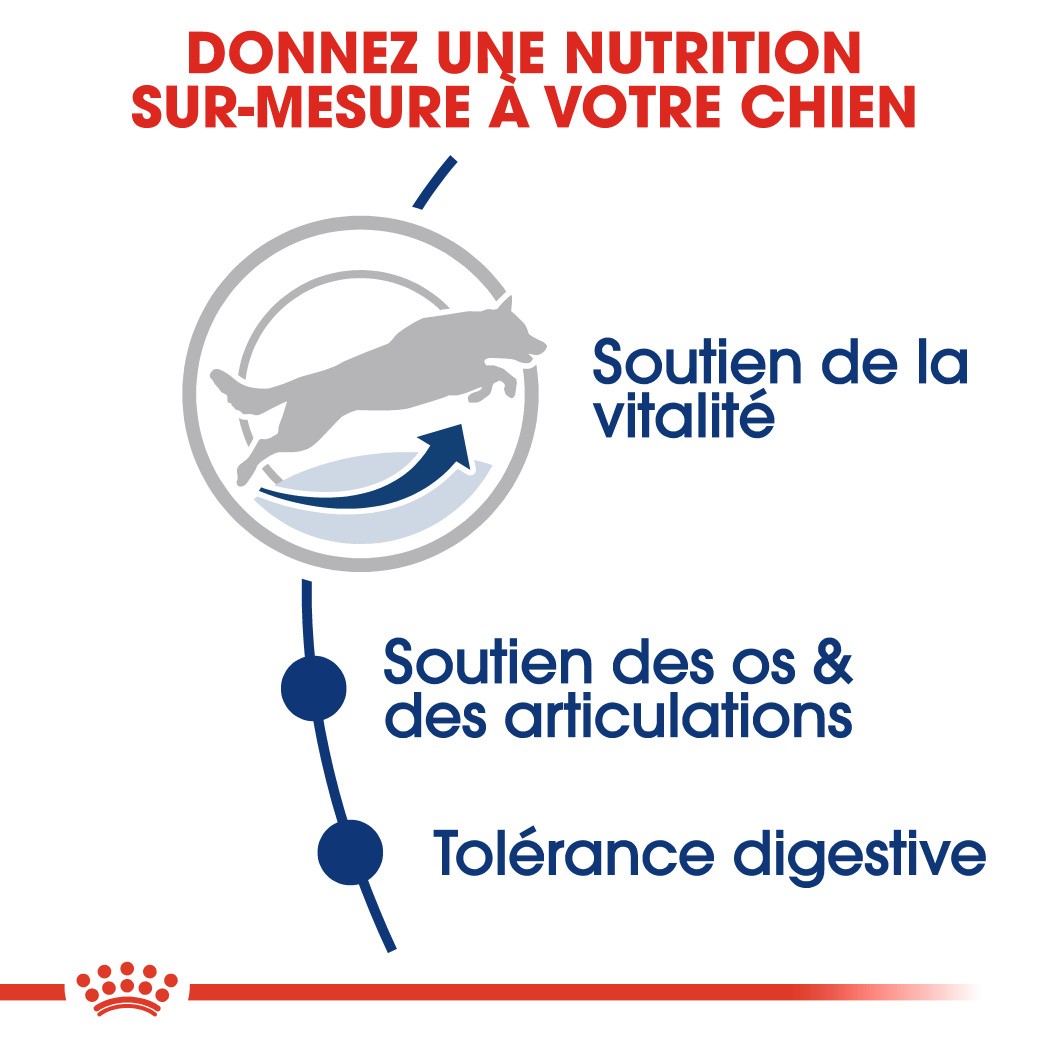 Royal Canin Maxi Adult 5+ - Croquettes pour chien 15kg