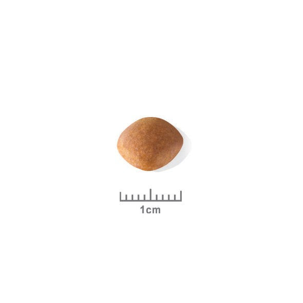 Royal Canin Cavalier King Charles Puppy - Croquettes pour chiot