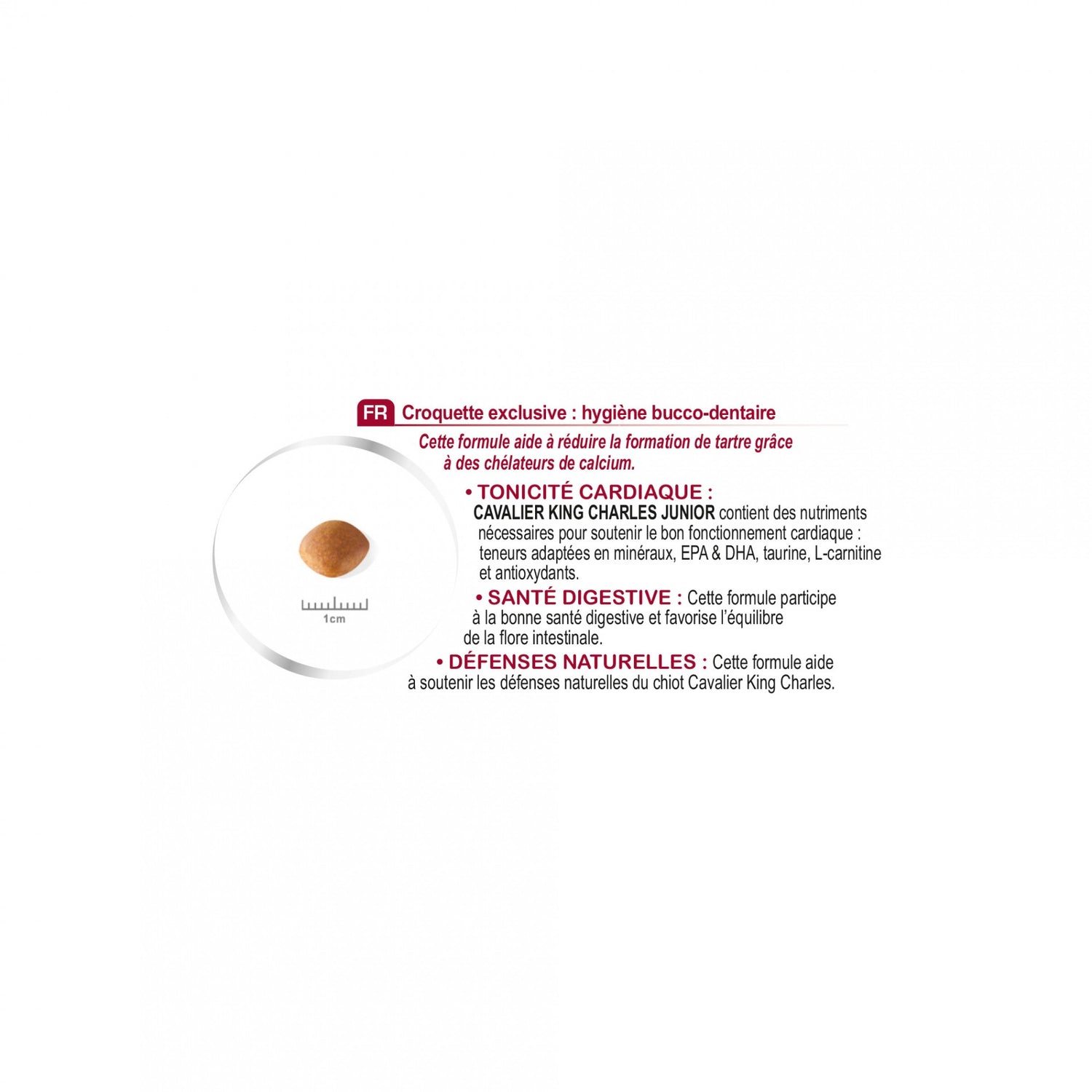Royal Canin Cavalier King Charles Puppy - Croquettes pour chiot