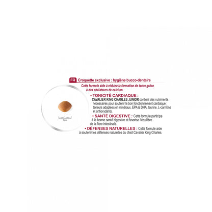 Royal Canin Cavalier King Charles Puppy - Croquettes pour chiot