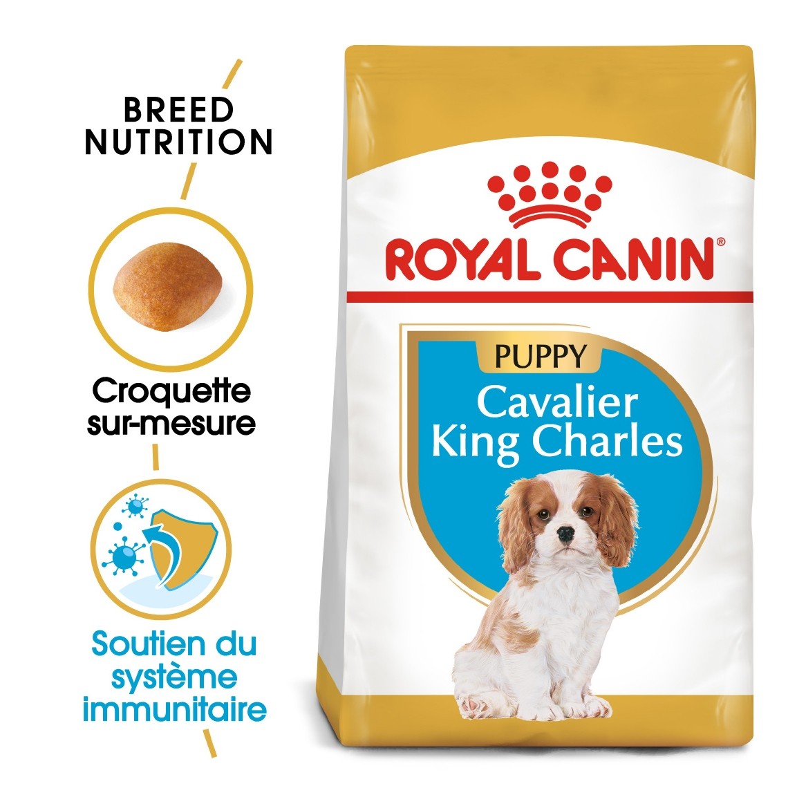 Royal Canin Cavalier King Charles Puppy - Croquettes pour chiot