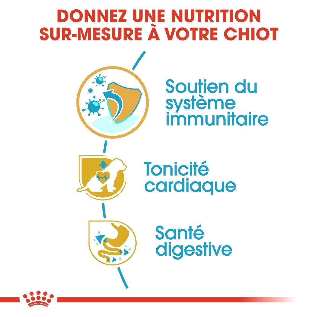Royal Canin Cavalier King Charles Puppy - Croquettes pour chiot