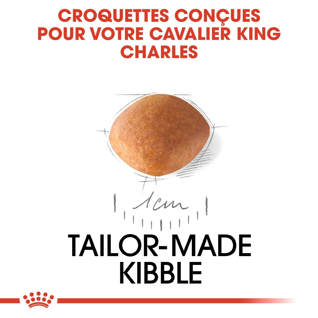 Royal Canin Cavalier King Charles Puppy - Croquettes pour chiot