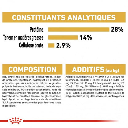 Royal Canin Teckel Adult (Dachshund) - Croquettes pour chien