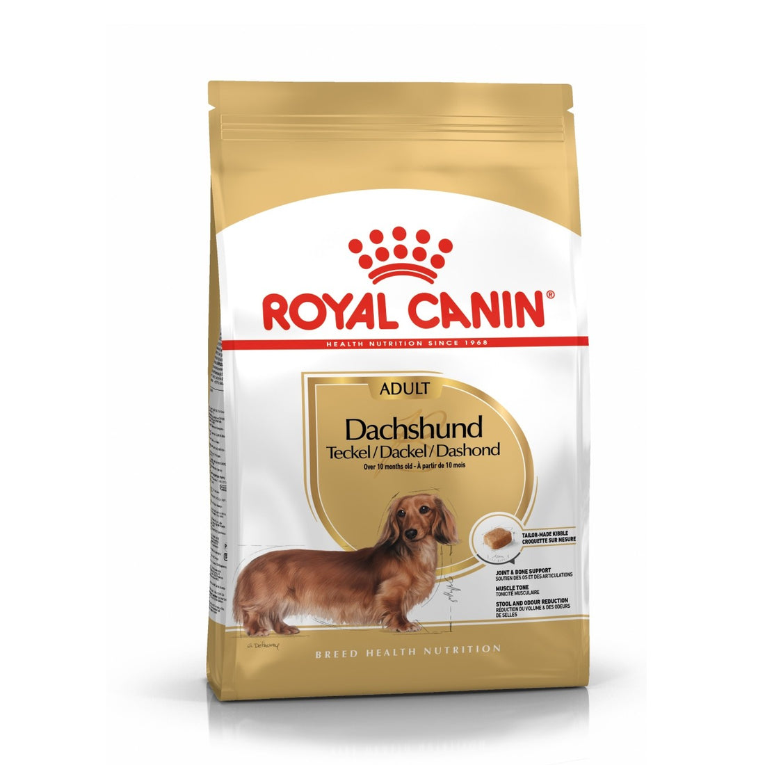 Royal Canin Teckel Adult (Dachshund) - Croquettes pour chien