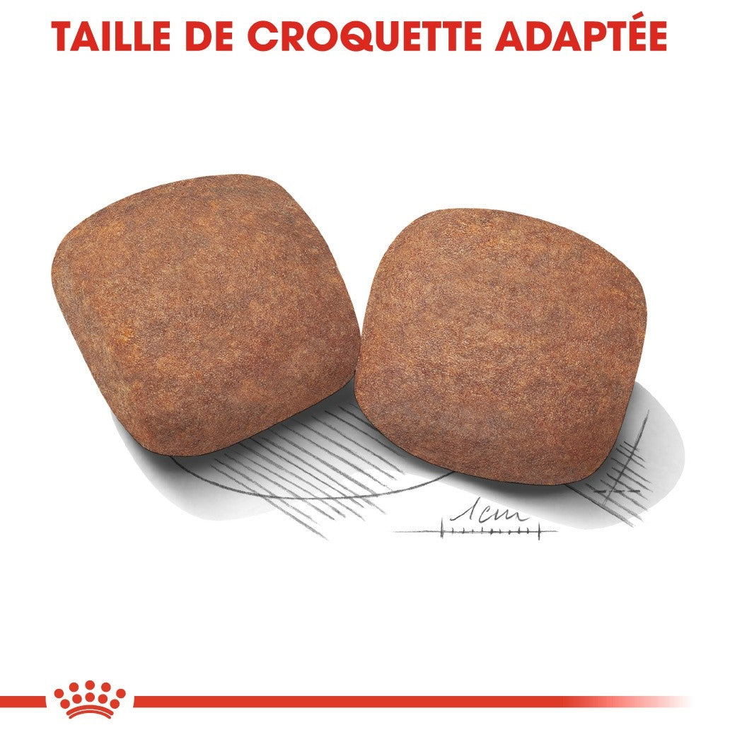 Royal Canin Giant Adult - Croquettes pour chien
