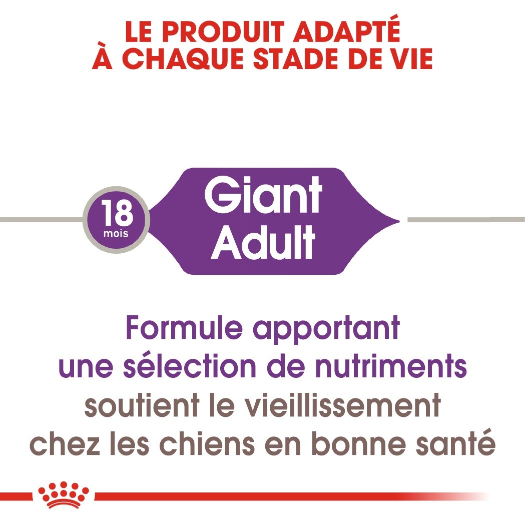Royal Canin Giant Adult - Croquettes pour chien