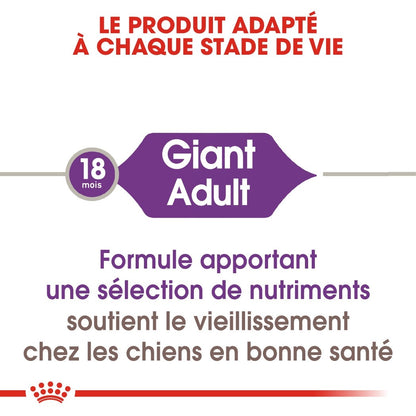 Royal Canin Giant Adult - Croquettes pour chien