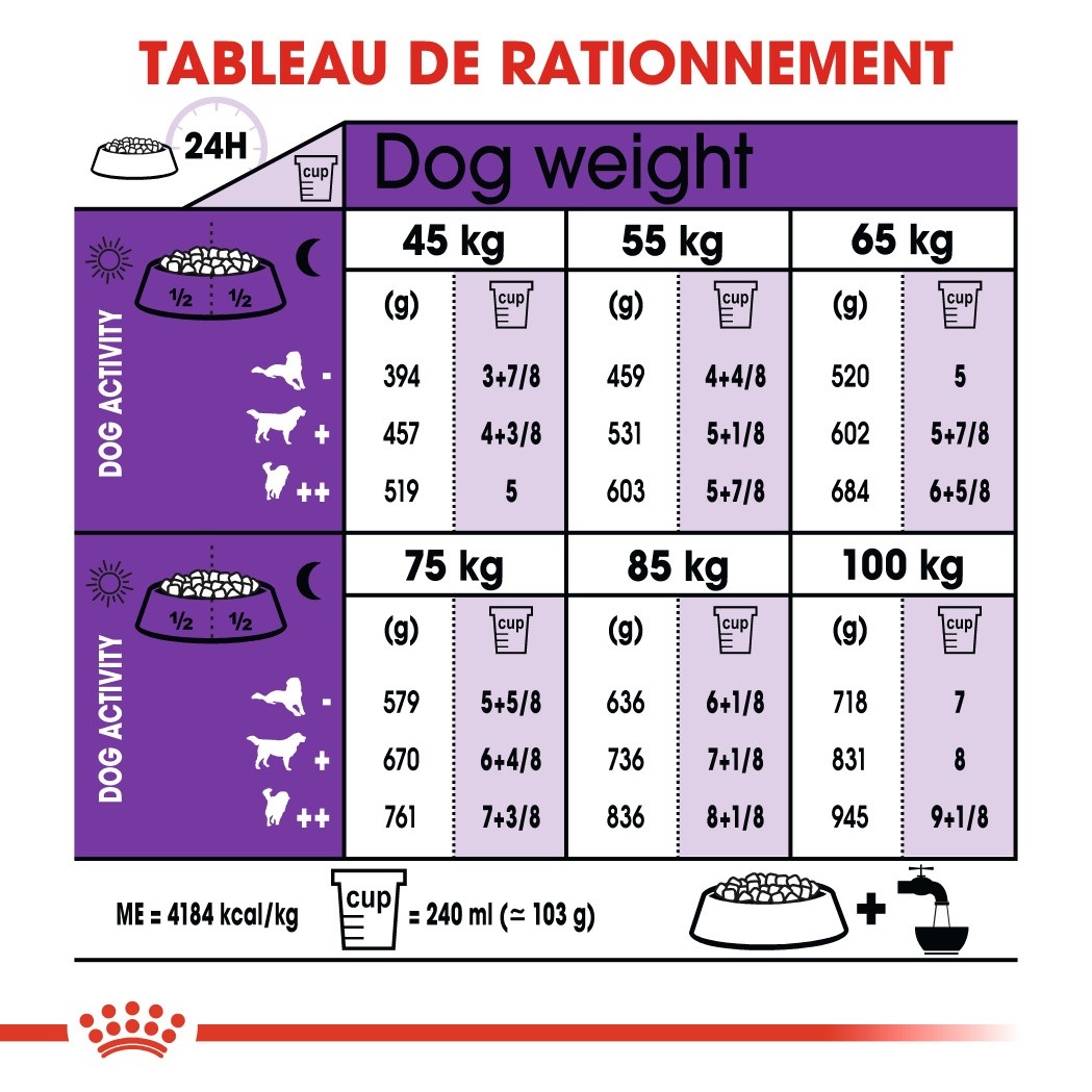Royal Canin Giant Adult - Croquettes pour chien