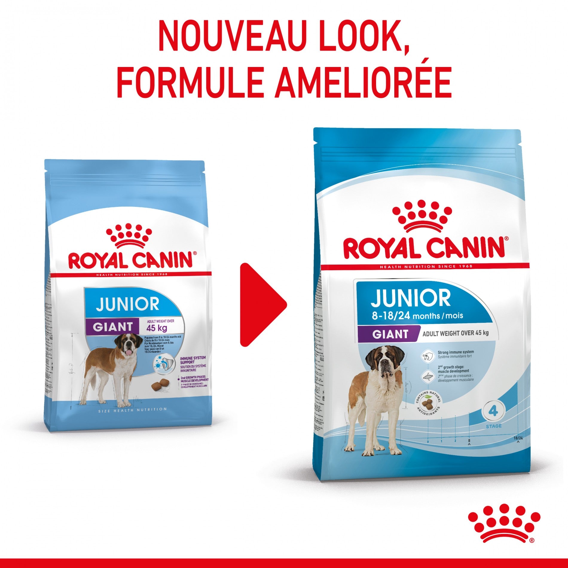 Royal Canin Giant Junior - Croquettes pour chiot