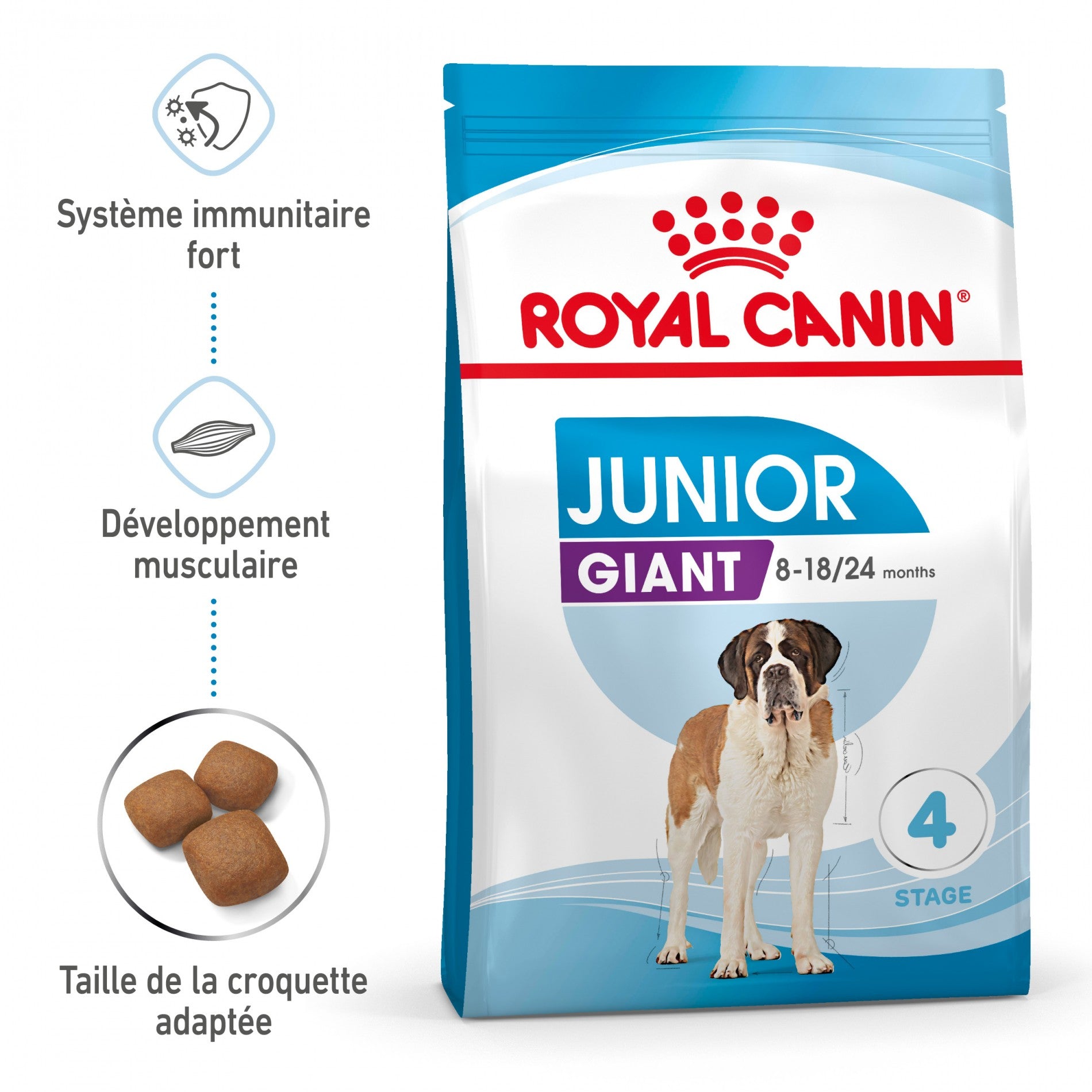 Royal Canin Giant Junior - Croquettes pour chiot