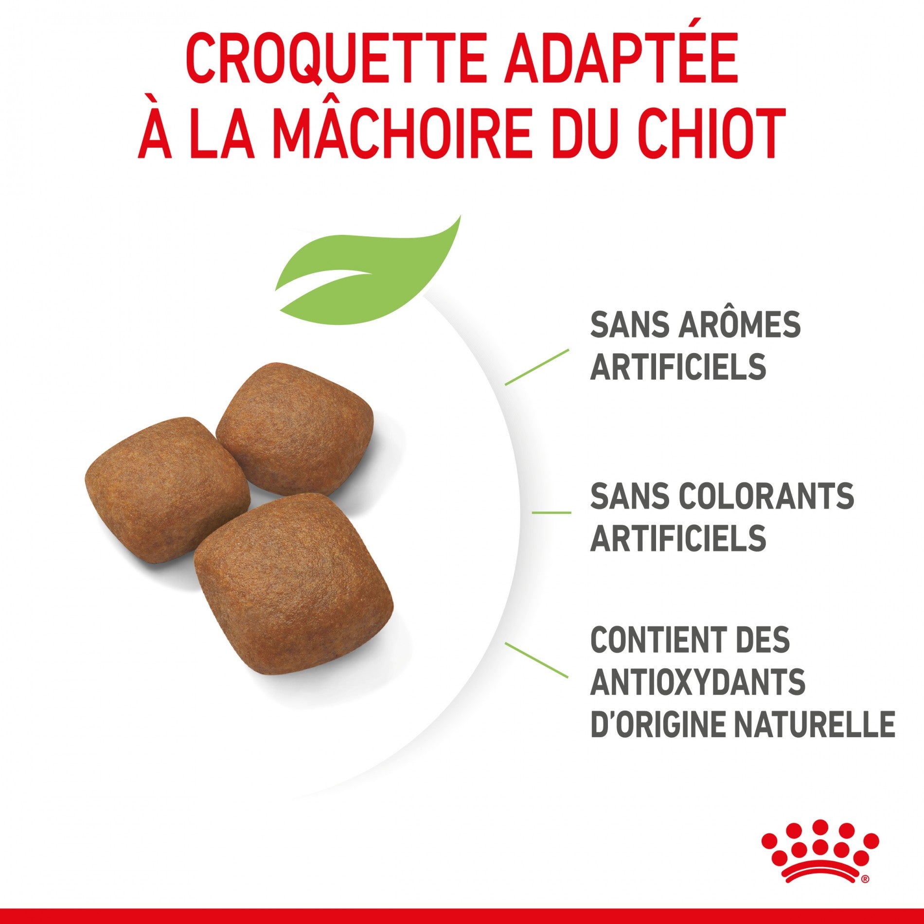 Royal Canin Giant Junior - Croquettes pour chiot