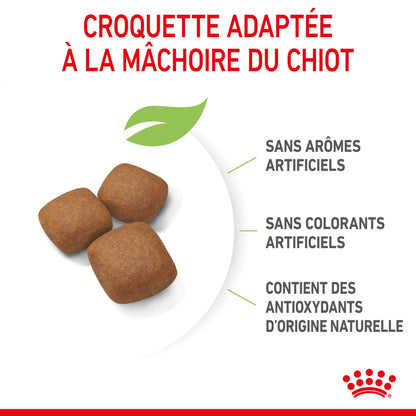 Royal Canin Giant Junior - Croquettes pour chiot