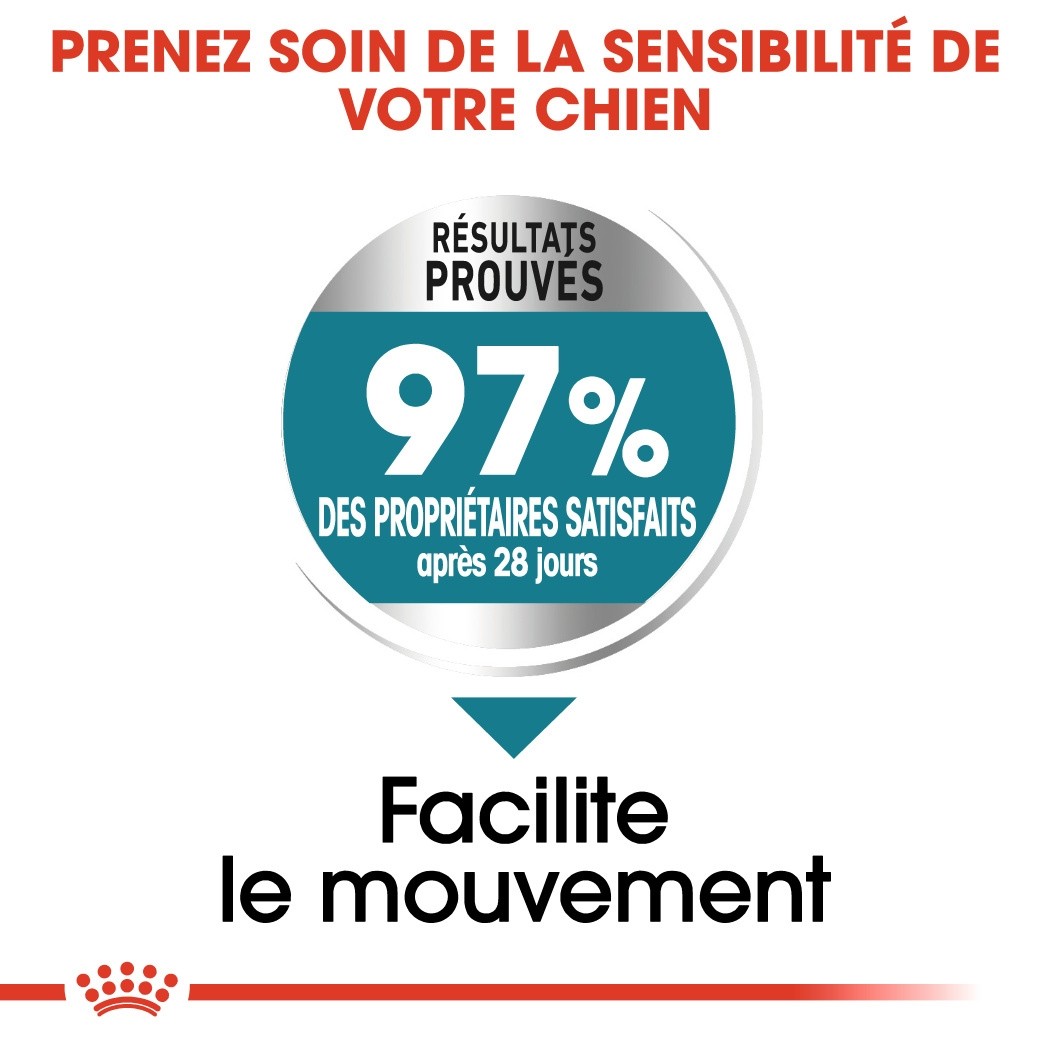 Royal Canin Maxi Joint Care - Croquettes pour chien