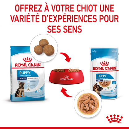 Royal Canin Maxi Puppy en Sauce - Pâtée pour chiot